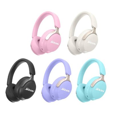 AKZ-22.23 Earphones - Type-C Input