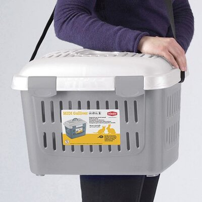 Closed Moving Box