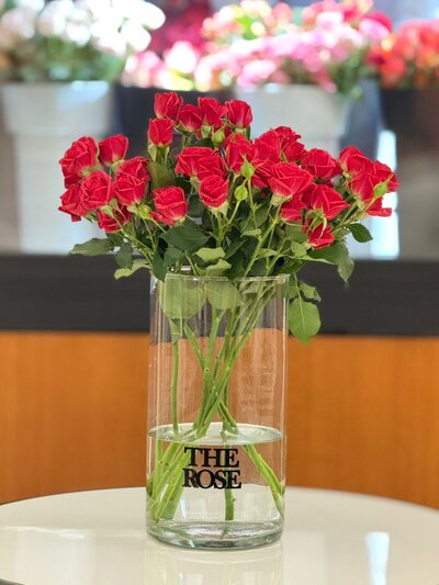 Baby Rose Red - pc