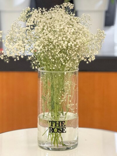 Gypsophila White - pcs