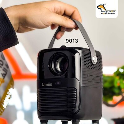 Small-sized projector with powerful capabilities and high quality 9013