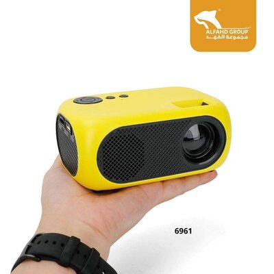 Small size projector 6961