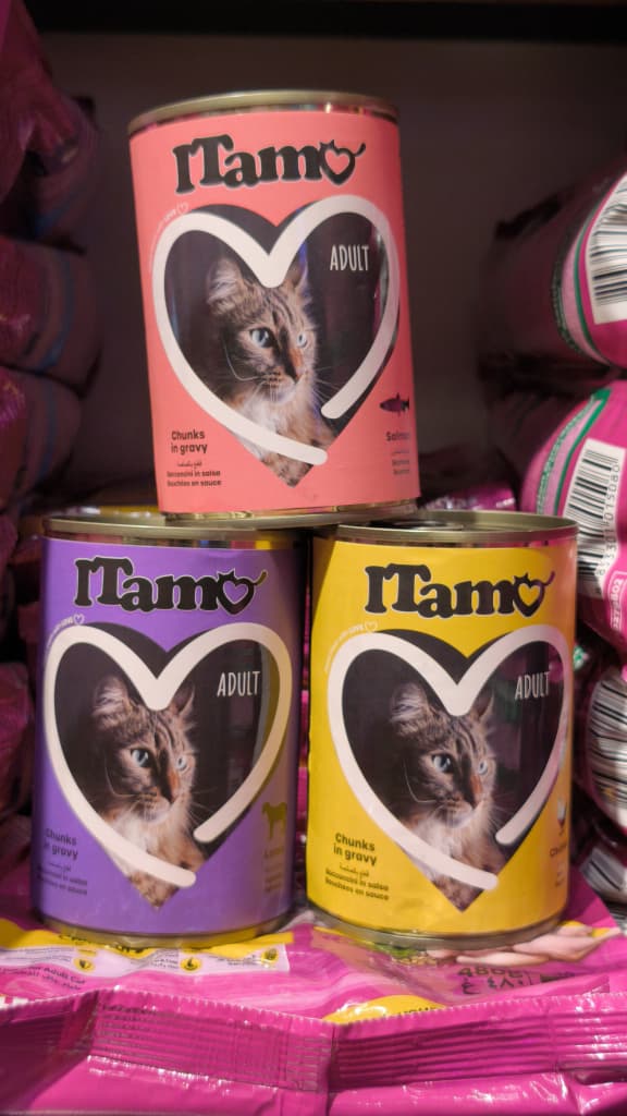 Amo wet food, chicken - meat - salmon flavor - 400g