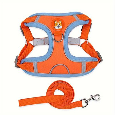 Cat Harness with Leash