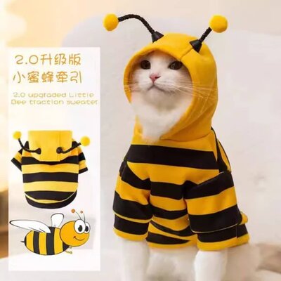 Bee costume for cats