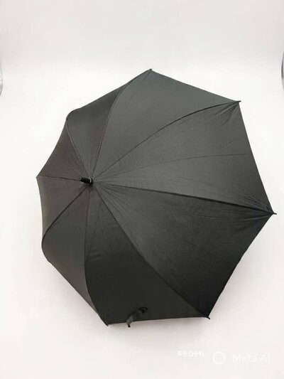 Large umbrella