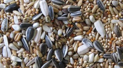 Bird food, rose and cockatiel mixes - 1kg