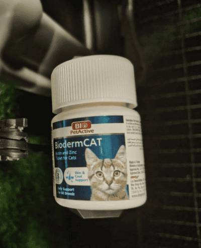 Vitamin to prevent hair loss for cats