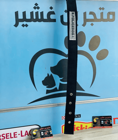سير حجم متوسط للكلاب