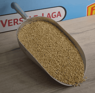 Bird food, canary sticks - 1kg
