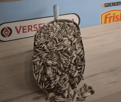 Bird food, large size seeds - 1kg
