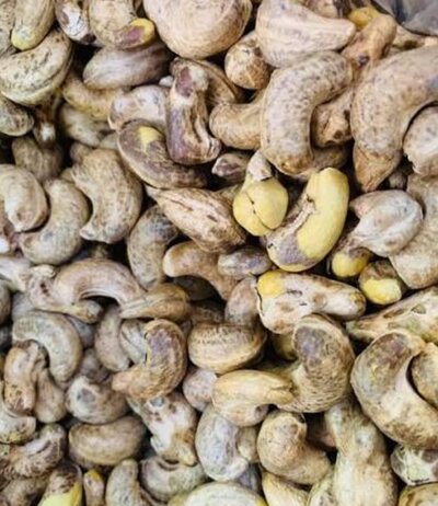 Jumbo cashews with shell 100g