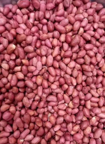 Tripoli peanuts