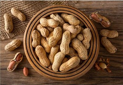Peanuts with shell 500g