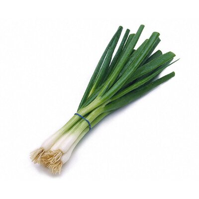 Green onion - bunch
