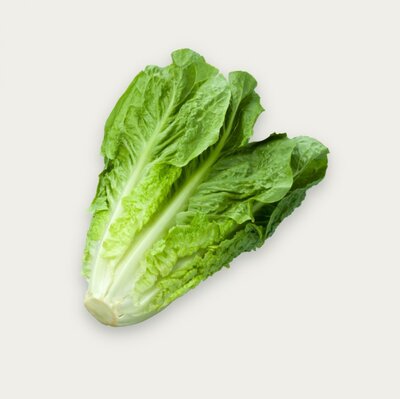 Lettuce - bunch