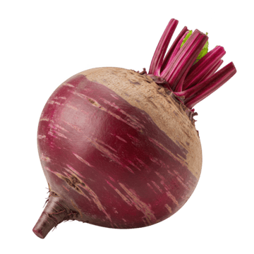 Beetroot