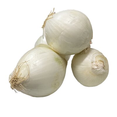 Green and white onion