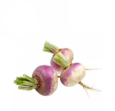 Turnip