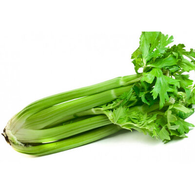 Celery