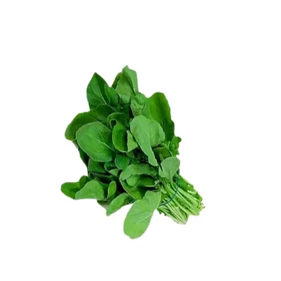 Arugula