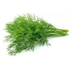 Dill