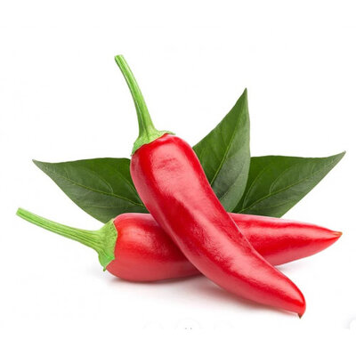 Red harissa pepper