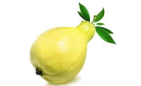Guava