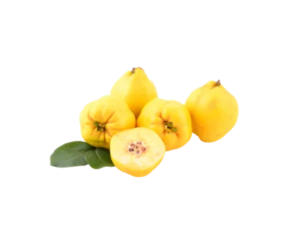 Yellow Tunisian Fig