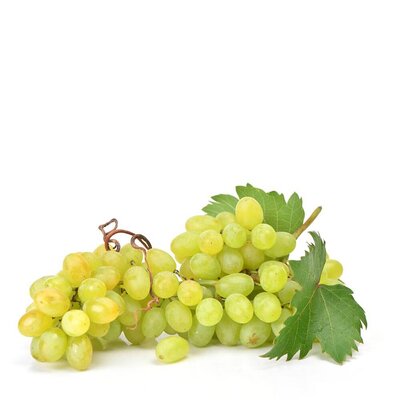 White Italian Grapes