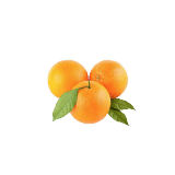 Navel Orange