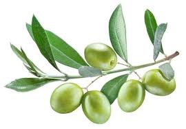 Spanish olives