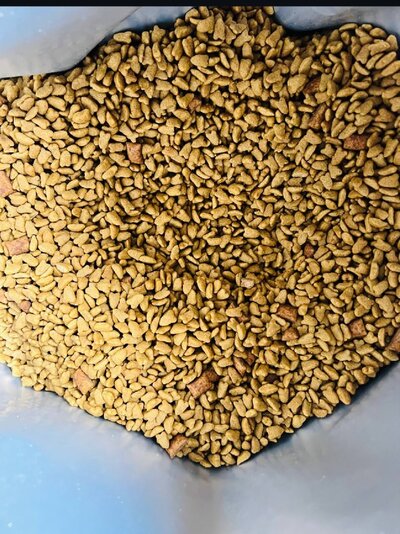 Dry Food Cat Treats Chicken - 0.5kg
