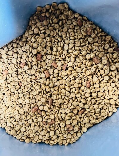 Dry cat food, beef flavor treats - 500g