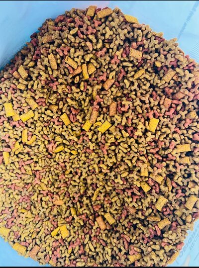 Dry cat food, Monello salmon, chicken & rice - 500g