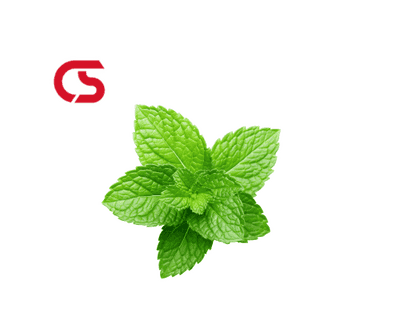 Mint - Bunch