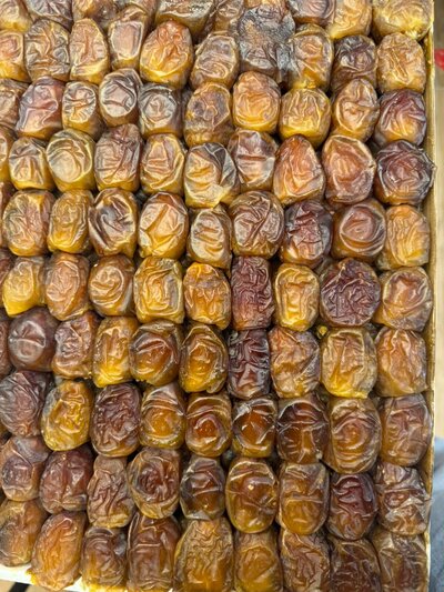 Iraqi Barhi Dates