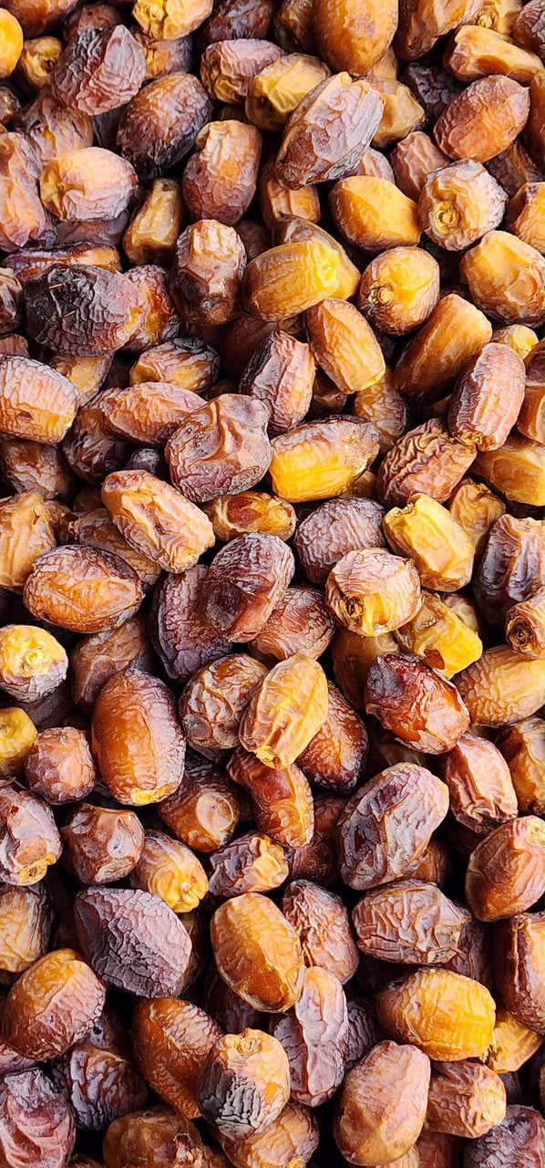 Nafikh Dates