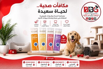 Ranova Pet Treat Lollipop - Salmon