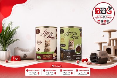 اكل رطب للقطط How Meow Premium لحم جيلي