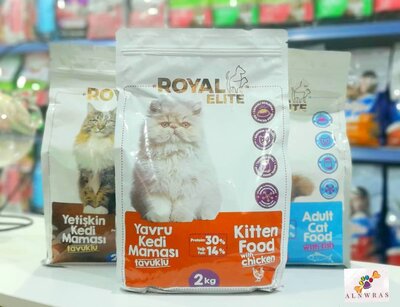 Royal Kitten