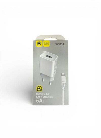 SASATHREE Wall Charger