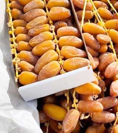 Libyan Deglet Nour Dates