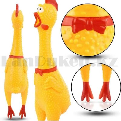 Squeaky chicken toy