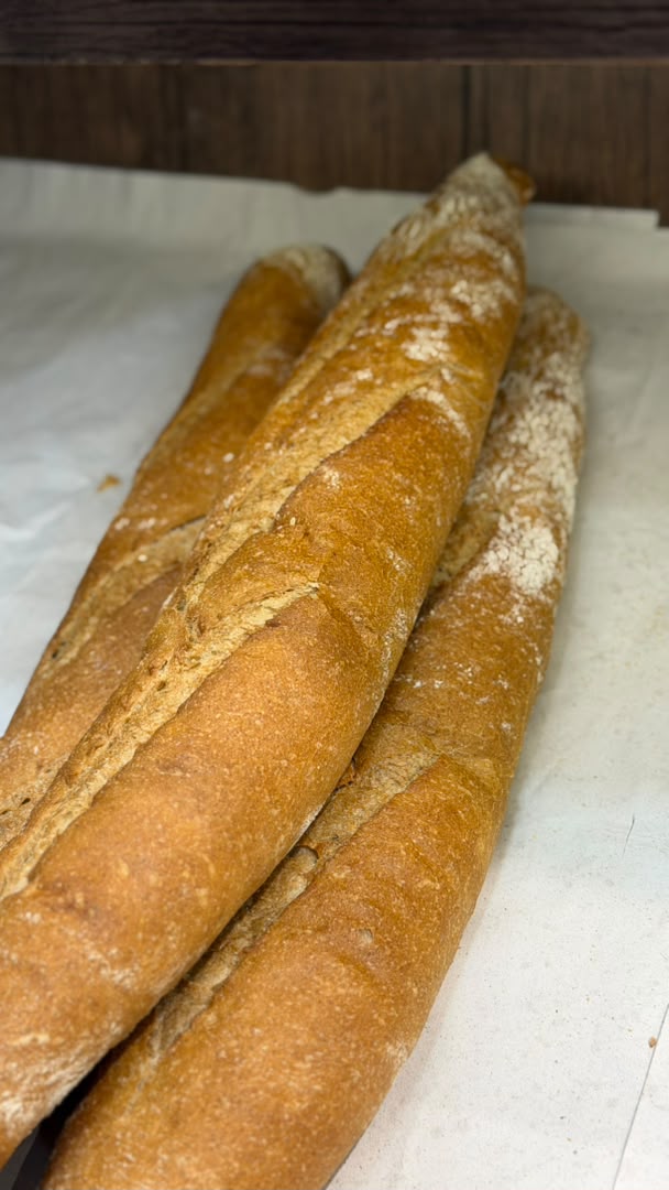 خبز خميرة طبيعه حجم كبير