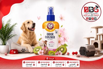 Arm & Hammer Dog Deodorizer - Kiwi & Flower Scent