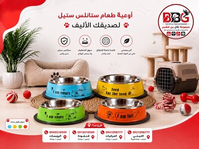 Food bowl - blue