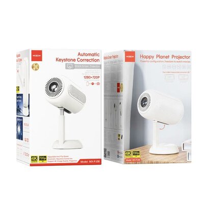 Projector