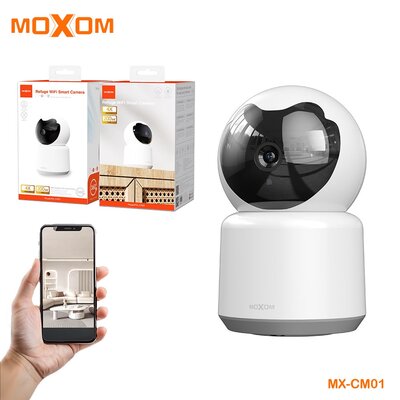 Wireless surveillance camera