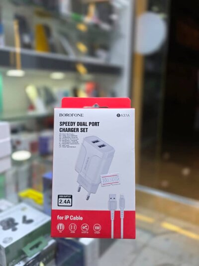 Dual Port Wall Charger